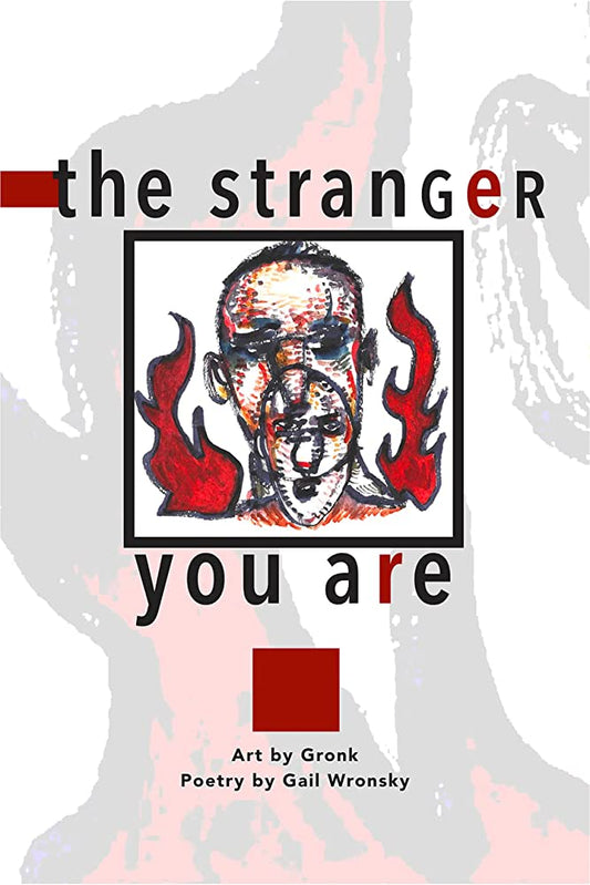 the stranger you are by Gail Wronsky